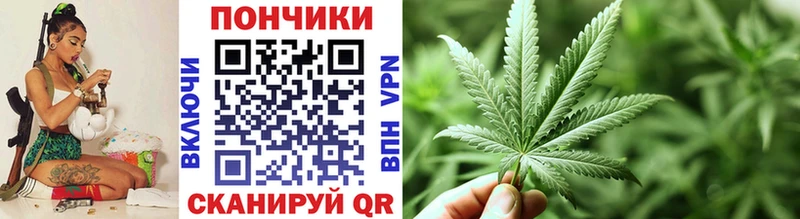 Купить  Медногорск  МАРИХУАНА сатива 